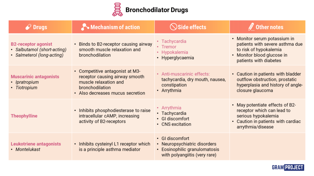 Bronchodilator Drugs Gram Project