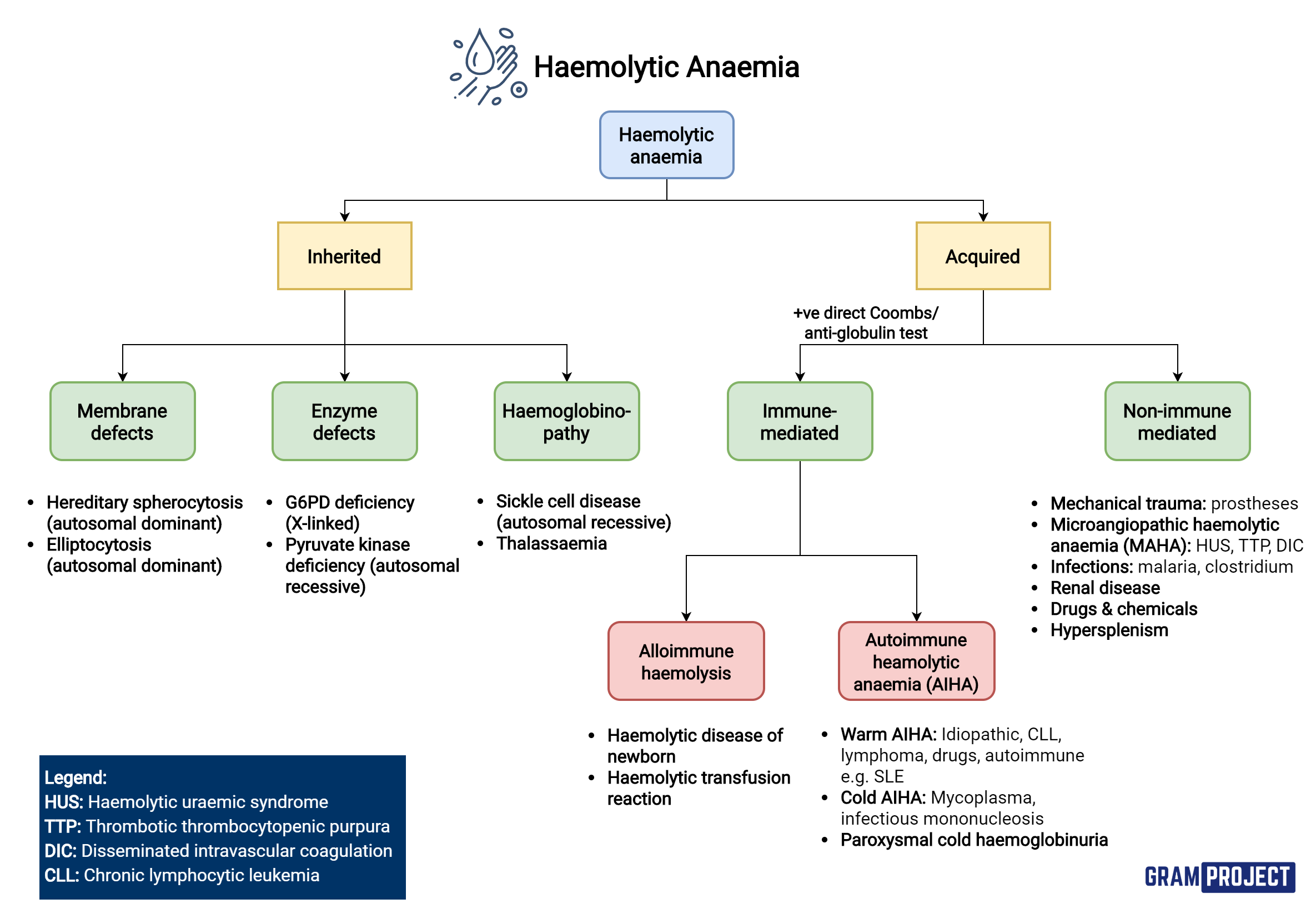 Summary flowchart of types of haemolytic anaemia and their causes.
