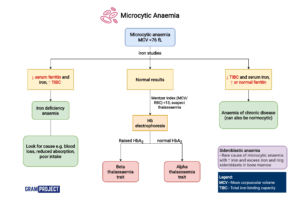 Interpreting microcytic anaemia flowchart