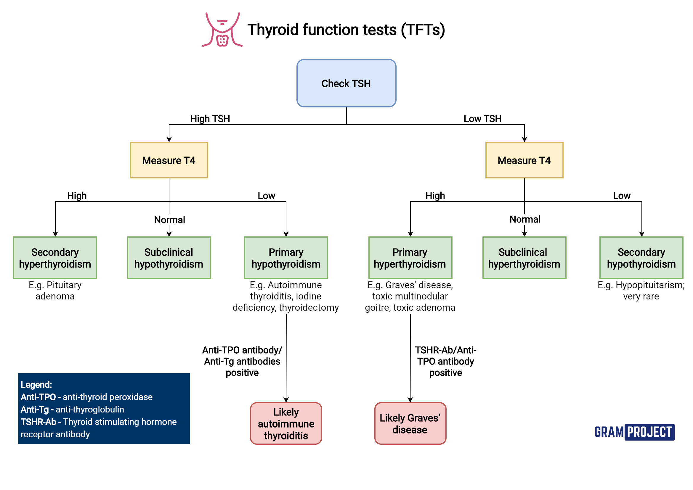 Interpretation of Thyroid function test flowchart