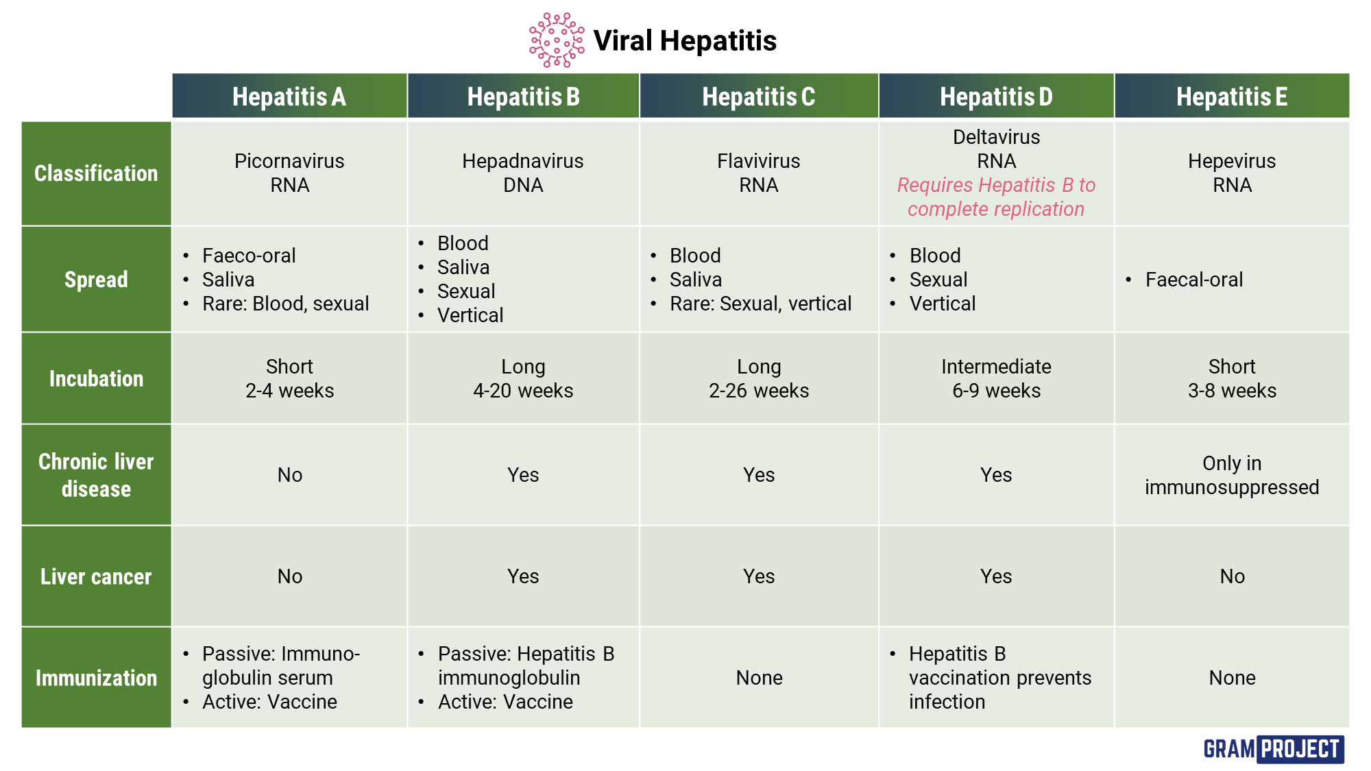 Summary table comparing the different types of viral hepatitis