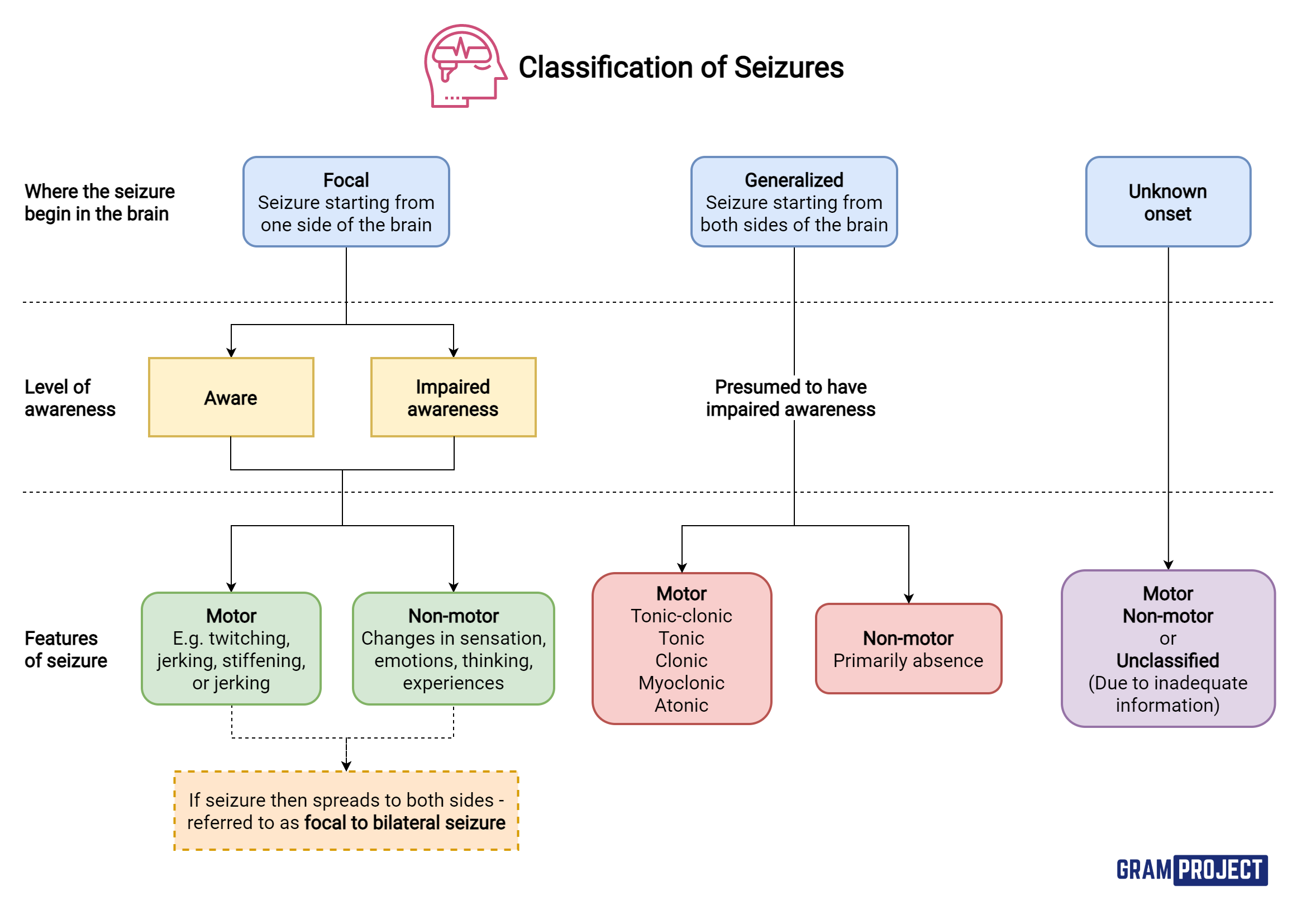 Seizure Classification Chart