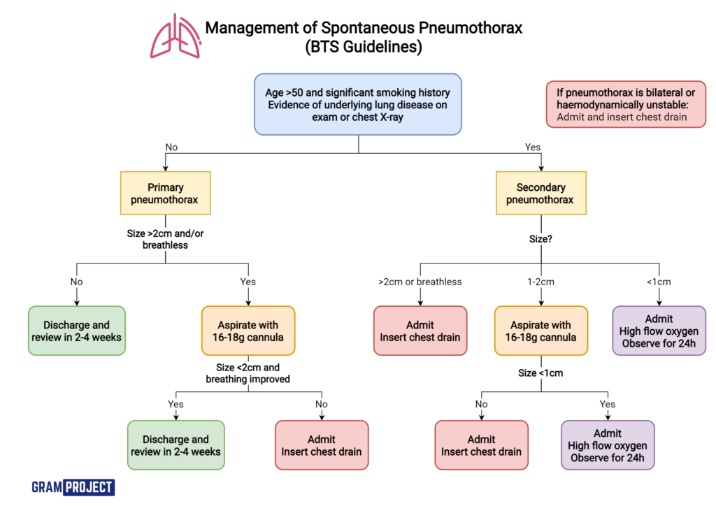 Management of Pneumothorax Gram Project