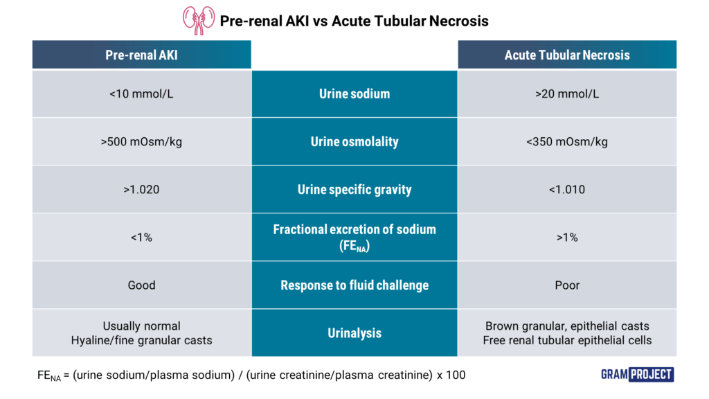 pre-renal-aki-vs-acute-tubular-necrosis-gram-project