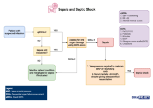 Diagnosis of sepsis and septic shock flowchart