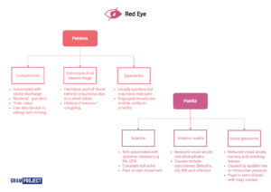 Diagnostic algorithm to approaching a patient presenting with red eye