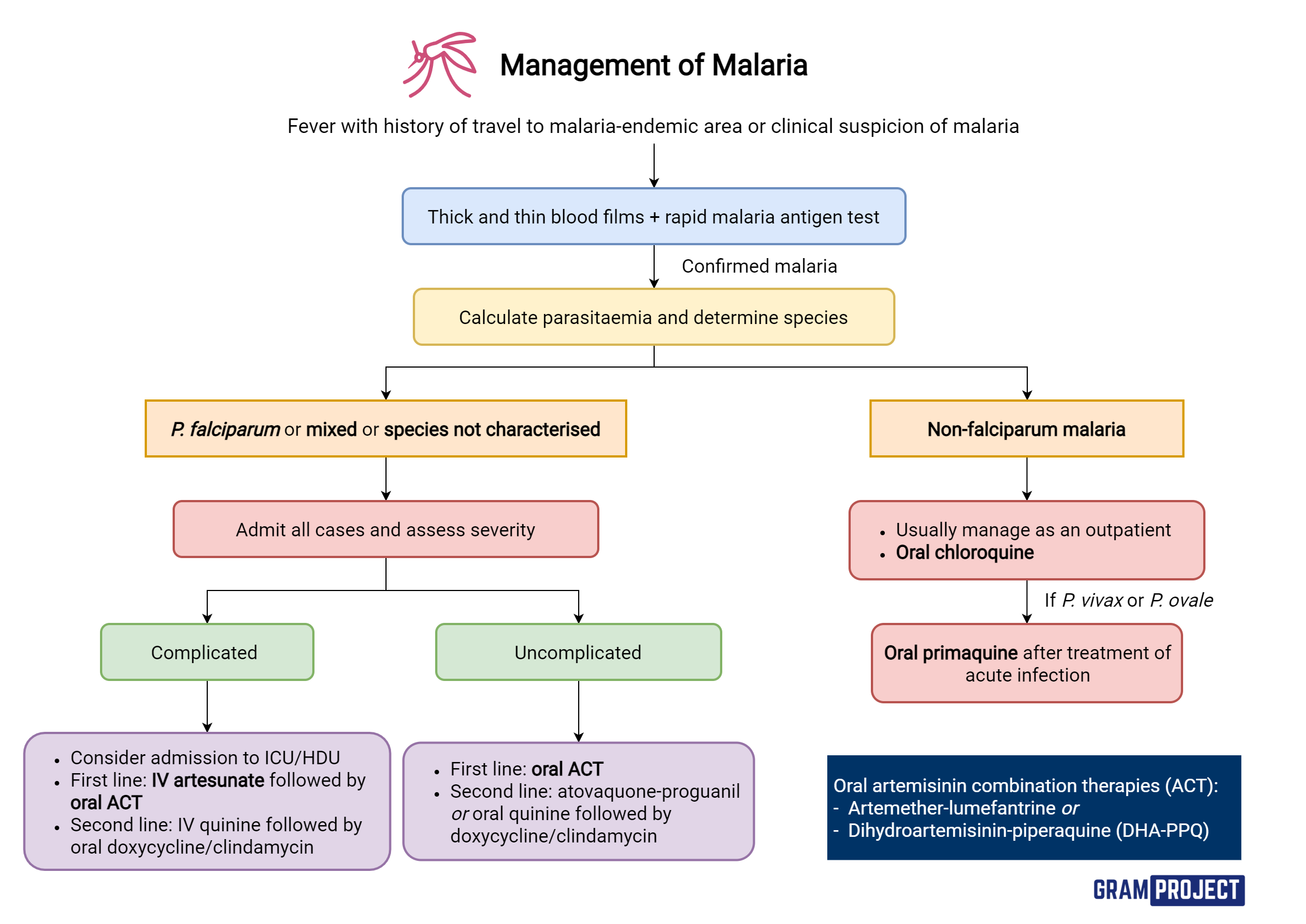 Management Of Malaria Gram Project